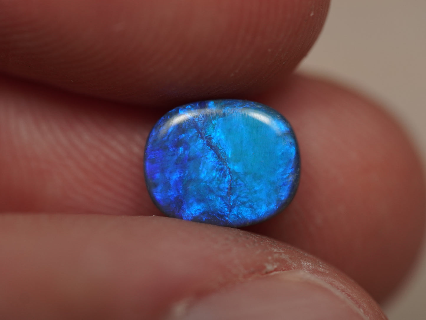 Black Opal FCP030