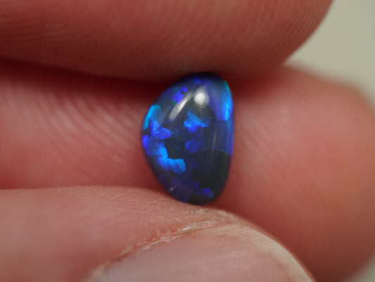 Black Opal COC055